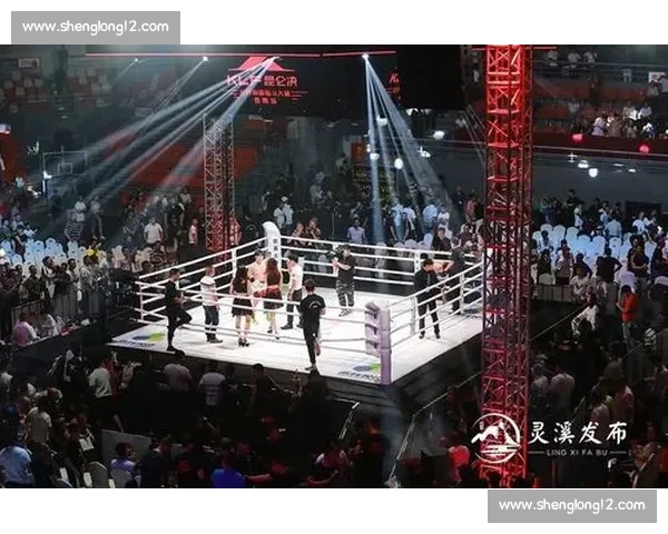 热血拳击赛事全面解析顶级对决背后的力量与荣耀竞技精神舞台时代格局